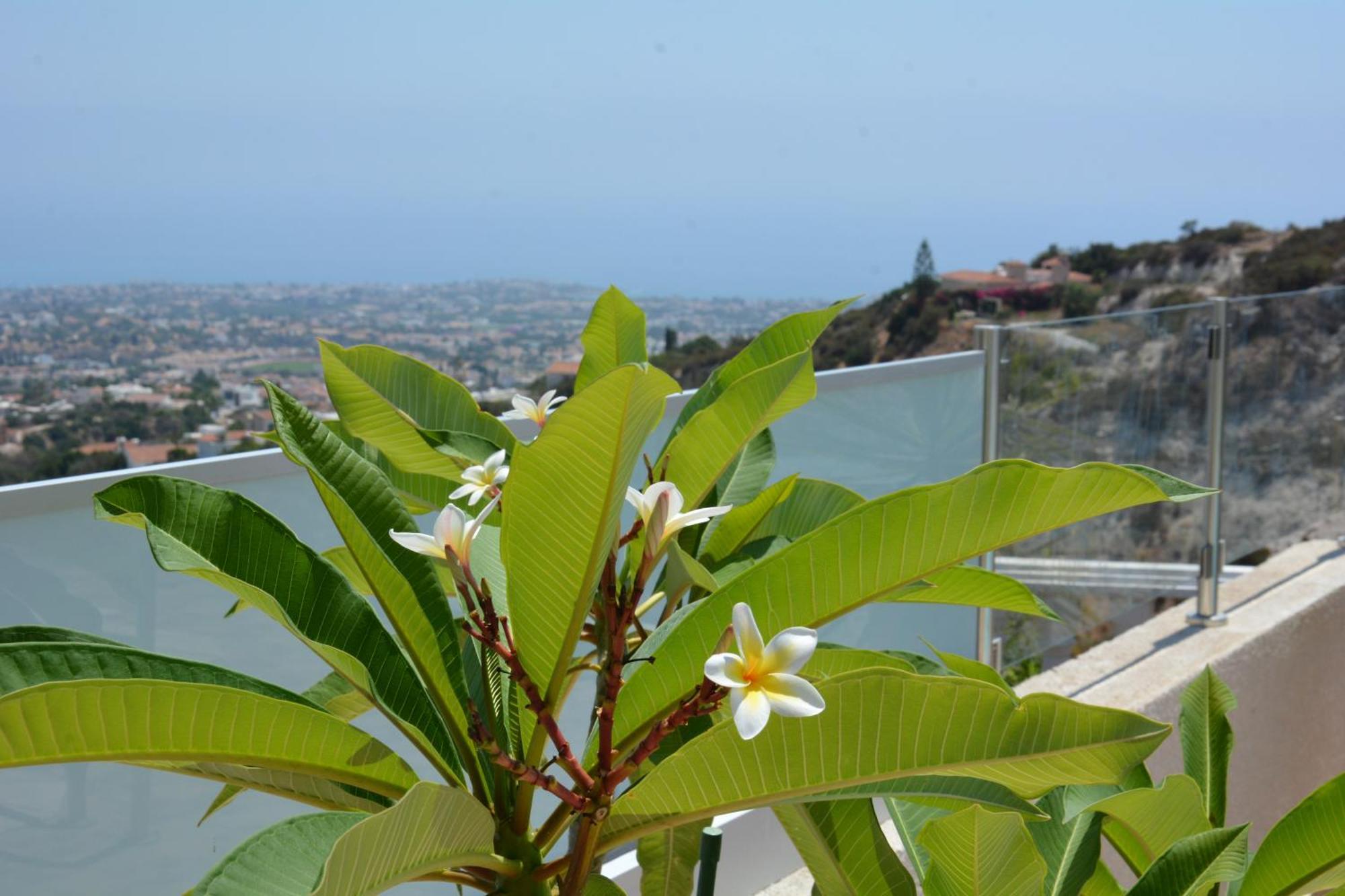 Villa Ocean Breeze Peyia Exterior photo